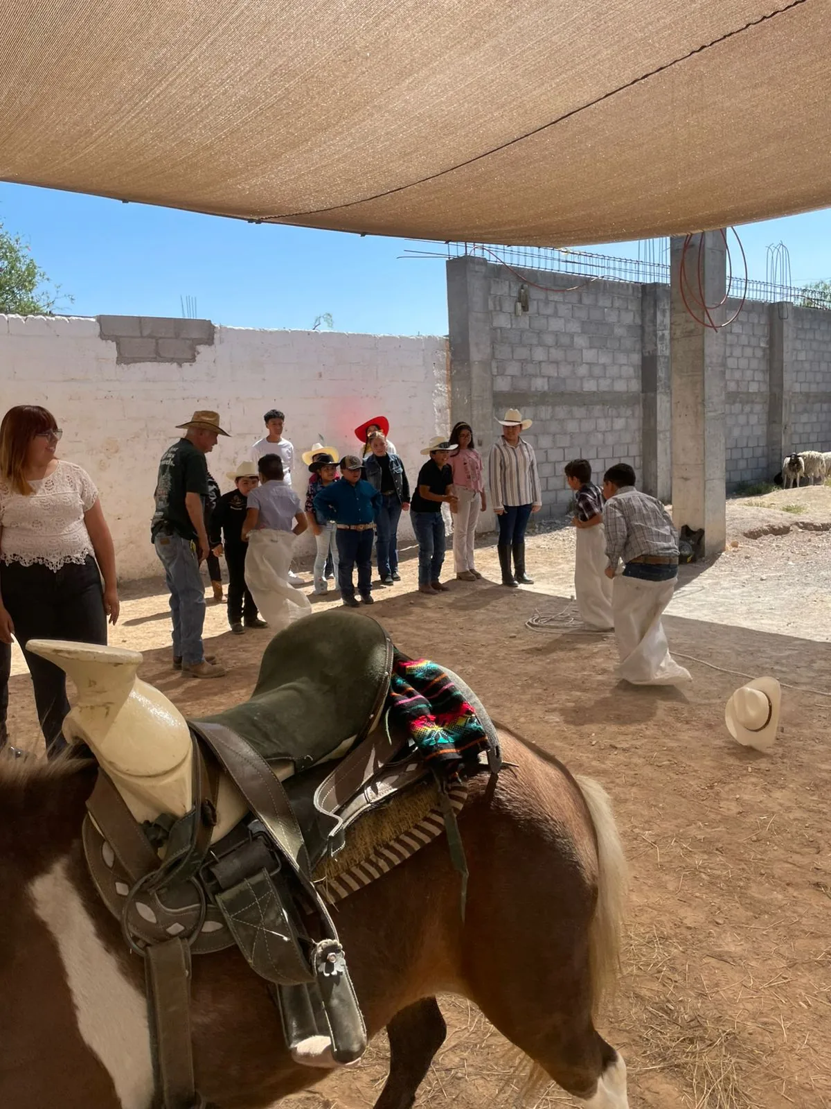 Jardín de eventos con experiencia de granja