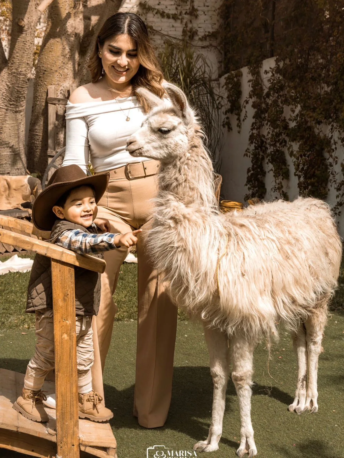 Llama en evento familiar